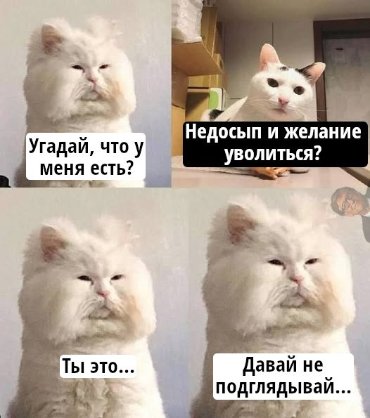 Работа в ИТ это вечные недосыпы