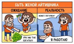 Быть женой айтишника